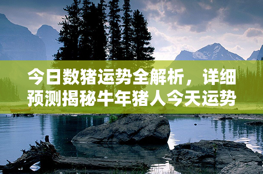 今日数猪运势全解析，详细预测揭秘牛年猪人今天运势如何