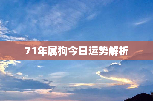 71年属狗今日运势解析