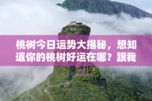 桃树今日运势大揭秘，想知道你的桃树好运在哪？跟我一起探寻桃树的秘密吧！