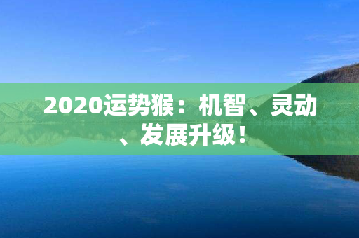 2020运势猴：机智、灵动、发展升级！