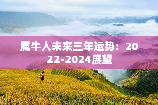 属牛人未来三年运势：2022-2024展望