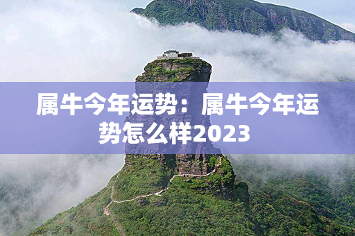 属牛今年运势：属牛今年运势怎么样2023 