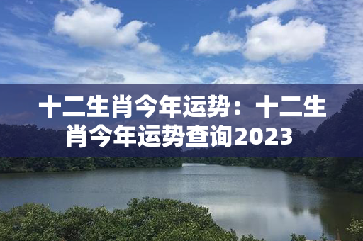 十二生肖今年运势：十二生肖今年运势查询2023 