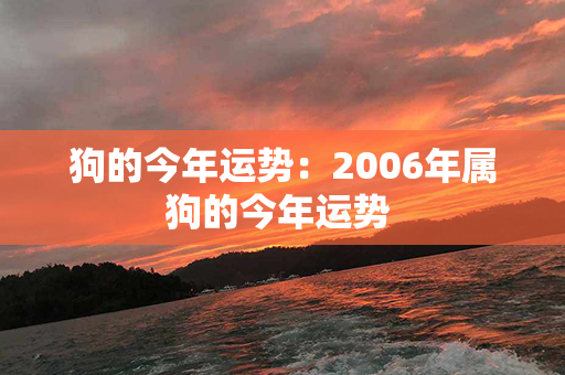 狗的今年运势：2006年属狗的今年运势 