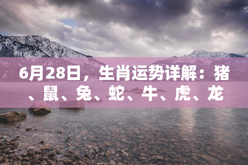 6月28日，生肖运势详解：猪、鼠、兔、蛇、牛、虎、龙、羊、狗的运势如何？