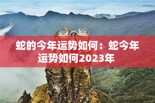 蛇的今年运势如何：蛇今年运势如何2023年 