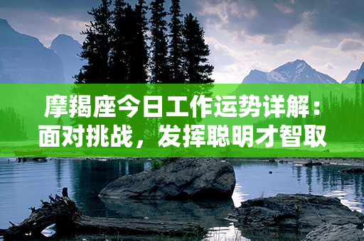 摩羯座今日工作运势详解：面对挑战，发挥聪明才智取得成功！