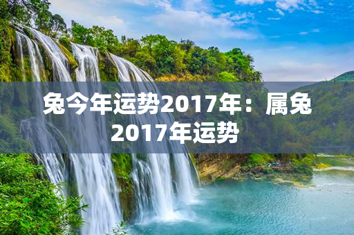 兔今年运势2017年：属兔2017年运势 