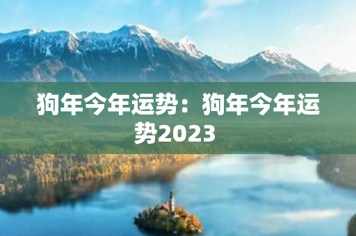 狗年今年运势：狗年今年运势2023 