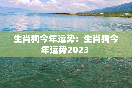 生肖狗今年运势：生肖狗今年运势2023 