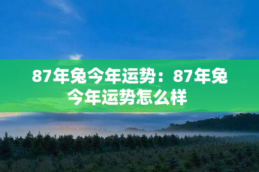 87年兔今年运势：87年兔今年运势怎么样 