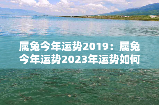 属兔今年运势2019：属兔今年运势2023年运势如何 