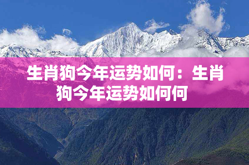 生肖狗今年运势如何：生肖狗今年运势如何何 