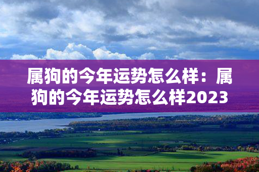 属狗的今年运势怎么样：属狗的今年运势怎么样2023 